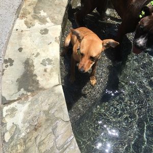 Meet your Posher, Lindsay